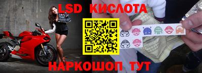 ПСИЛОЦИБИНОВЫЕ ГРИБЫ Заволжье