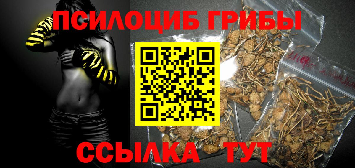 Лабинск  Псилоцибиновые грибы GOLDEN TEACHER  магазин    Вход с VPN 