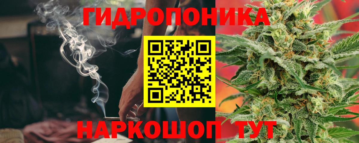 Каннабис индика Лабинск